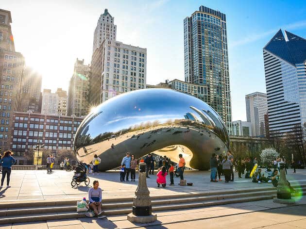 Chicago Bean