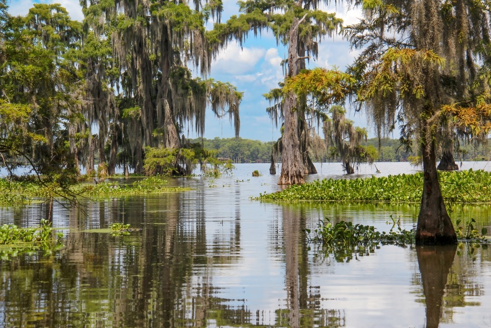 Court Reporters in Louisiana